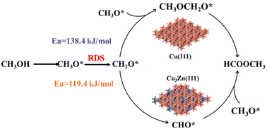 Graphical abstract: Insights into the crucial role of a Zn promoter for methanol dehydrogenation to methyl formate over Cu(111) catalysts