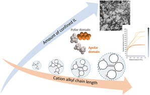 Graphical abstract: Textural control of ionosilicas by ionic liquid templating