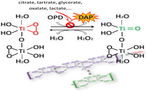 Graphical abstract: Peroxidase-like activity of a peroxotitanium complex and its inhibition by some hydroxyalkanoic acids