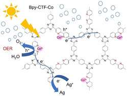 Graphical abstract: Covalent triazine-based frameworks with cobalt-loading for visible light-driven photocatalytic water oxidation