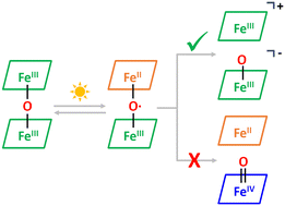 Graphical abstract: Low quantum efficiency of μ-oxo iron bisporphyrin photocatalysts explained with femtosecond M-edge XANES