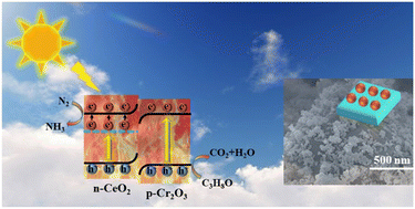 Graphical abstract: CeO2/Cr2O3 direct Z-scheme heterojunction for photo-thermal synergistic catalytic isopropanol degradation and nitrogen fixation