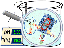 Graphical abstract: Aldolase and N-heterocyclic carbene gold(i) catalysts: compartmentalization and immobilization on anionic clays for concurrent hybrid catalysis at acidic pH