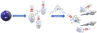 Hydrolysis of a carbamate triggered by coordination of metal ions†,10. ...