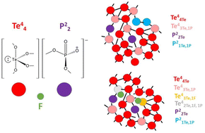 Graphical abstract: Structural characterization of a new fluorophosphotellurite glass system