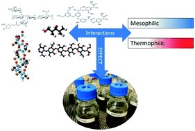 Graphical abstract: Characterizing the influence of wastewater composition and lignin content on anaerobic biodegradability