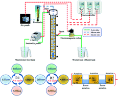 Graphical abstract: Alternating aeration strategy to reduce aeration energy demand for aerobic granular sludge and analysis of microbial community dynamics