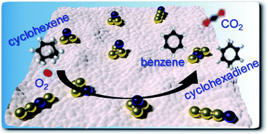 Graphical abstract: Oxidative dehydrogenation of cyclohexene on atomically precise subnanometer Cu4−nPdn (0 ≤ n ≤ 4) tetramer clusters: the effect of cluster composition and support on performance