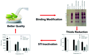 Graphical abstract: Green tea polyphenols bind to soy proteins and decrease the activity of soybean trypsin inhibitors (STIs) in heated soymilk