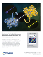 Graphical abstract: Inside back cover