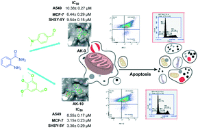 Graphical abstract: Morpholine substituted quinazoline derivatives as anticancer agents against MCF-7, A549 and SHSY-5Y cancer cell lines and mechanistic studies