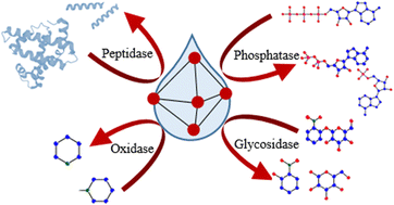 MOF catalysis meets biochemistry: molecular insights from the ...