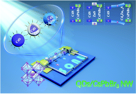 Graphical abstract: A high-responsivity CsPbBr3 nanowire photodetector induced by CdS@CdxZn1−xS gradient-alloyed quantum dots