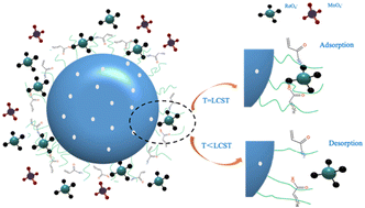 Graphical abstract: Synthesis process and adsorption performance of temperature-sensitive ion-imprinted porous microspheres (ReO4−-TIIM) for the selective separation of ReO4−