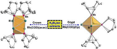 Graphical abstract: Capture of [Bi4]6− and [Bi3]5− anions by [Rh(L)]+ (L = COD) cations in the closo heteroatomic clusters {Bi4[Rh(L)]4}2− and {Bi3[Rh(L)]3}2−