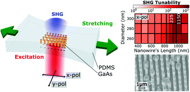 Graphical abstract: Second-harmonic generation tuning by stretching arrays of GaAs nanowires