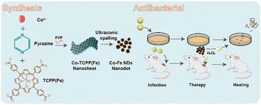 Graphical abstract: Dimensionality reduction boosts the peroxidase-like activity of bimetallic MOFs for enhanced multidrug-resistant bacteria eradication