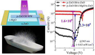 Graphical abstract: Enhancing UV photodetection performance of an individual ZnO microwire p–n homojunction via interfacial engineering