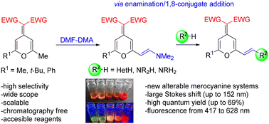 Graphical abstract: A novel strategy for the functionalization and design of 4-methylene-4H-pyran merocyanines via enamination and 1,8-conjugate addition