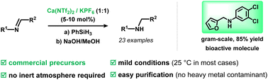 Graphical abstract: Calcium-catalysed synthesis of amines through imine hydrosilylation: an experimental and theoretical study