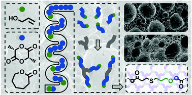 Graphical abstract: One-pot multifunctional polyesters by continuous flow organocatalysed ring-opening polymerisation for targeted and tunable materials design