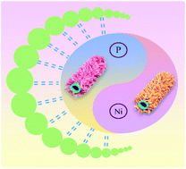 Graphical abstract: Two-in-one template-assisted construction of hollow phosphide nanotubes for electrochemical energy storage