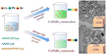 Graphical abstract: Ligand-modified synthesis of shape-controllable and highly luminescent CsPbBr3 perovskite nanocrystals under ambient conditions