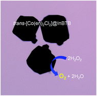 Graphical abstract: Catalytic oxygen evolution from hydrogen peroxide by trans-[Co(en)2Cl2]@InBTB metal–organic framework catalytic system