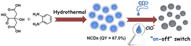 Graphical abstract: N-doped carbon dots as robust fluorescent probes for the rapid detection of hypochlorite