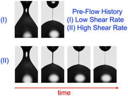 Graphical abstract: Effects of flow history on extensional rheological properties of wormlike micelle solution