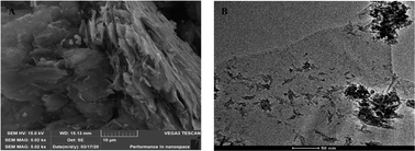 Graphical abstract: Potent antibacterial activity of MXene–functionalized graphene nanocomposites