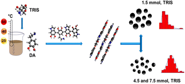 Graphical abstract: Kinetic study of polydopamine sphere synthesis using TRIS: relationship between synthesis conditions and final properties