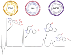 Graphical abstract: Analysis of canthin-6-one alkaloids derived from Eurycoma spp. by micellar liquid chromatography and conventional high-performance liquid chromatography: a comparative evaluation