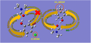 Graphical abstract: Inconsistent hydrogen bond-mediated vibrational coupling of amide I