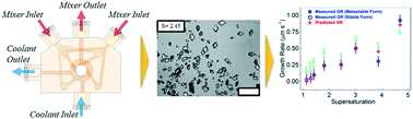 Graphical abstract: On-the-spot quenching for effective implementation of cooling crystallization in a continuous-flow microfluidic device