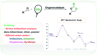 Graphical abstract: CO2 fixation into cyclic carbonates catalyzed by single-site aprotic organocatalysts