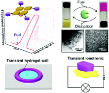 Graphical abstract: Feedback-controlled topological reconfiguration of molecular assemblies for programming supramolecular structures