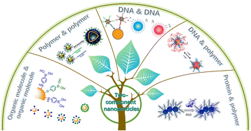 Graphical abstract: Controlling the two components modified on nanoparticles to construct nanomaterials