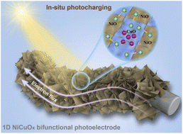 Graphical abstract: Bifunctional NiCuOx photoelectrodes to promote pseudocapacitive charge storage by in situ photocharging