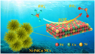 Graphical abstract: Ni-doped hyperbranched PdCu nanocrystals for efficient electrocatalytic borohydride oxidation