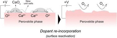 Graphical abstract: Cation deficiency enables reversal of dopant segregation at perovskite oxide surfaces under anodic potential