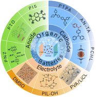 Graphical abstract: Research progress and perspectives on ultra-low temperature organic batteries