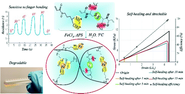 Graphical abstract: A novel self-healing hydrogel based on derivatives of natural α-amino acids with potential applications as a strain sensor