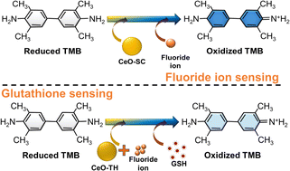 Graphical abstract: Fluoride-assisted detection of glutathione by surface Ce3+/Ce4+ engineered nanoceria