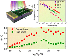 Graphical abstract: Self-assembled graphene/BUBD-1 hybrids for ultrasensitive organic phototransistors