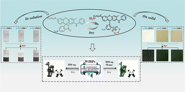 Graphical abstract: Black hydrochromic fluoran molecular switches: substituent positional isomerization effects and multicolor water-jet printing