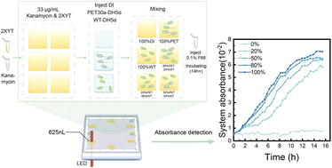 Enhanced absorbance detection system for online bacterial monitoring in ...