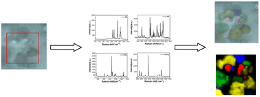Graphical abstract: Visual detection of microplastics using Raman spectroscopic imaging