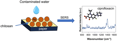 Graphical abstract: Surface-enhanced Raman scattering detection of thiram and ciprofloxacin using chitosan–silver coated paper substrates