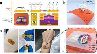 Graphical abstract: An integrated wearable sticker based on extended-gate AlGaN/GaN high electron mobility transistors for real-time cortisol detection in human sweat